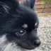 marito
