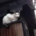 カフェ キサラギ