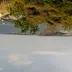 ゆゆゆ