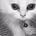 KATuuuuuN