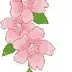 kflowerroll