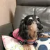 リーナ