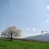 tachibana ryuuta