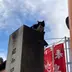 かざね
