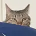 ちよこふ