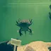 いった