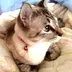 mariko