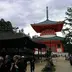 hisamiya3 