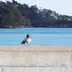 佐藤