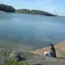 shiforingo