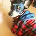 HIRAME