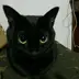 たま