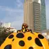 ヒロ