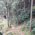 toraconholiday