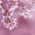 日向ぼっこ