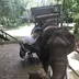 かとやん