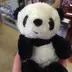 ぱんだ