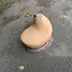 はな