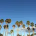 li_traveler