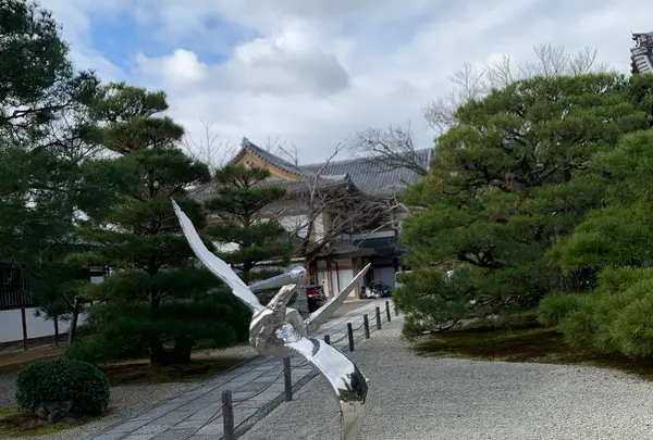仁和寺の写真・動画_image_419117