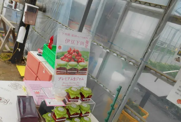 伊豆下田なごみ果園の写真・動画_image_130421