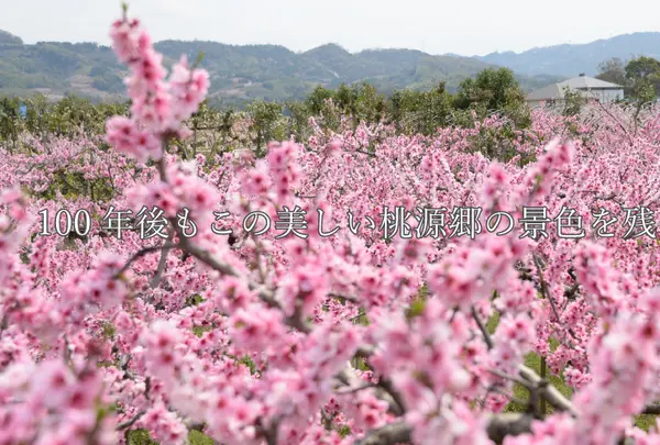 桃源郷　和歌山
