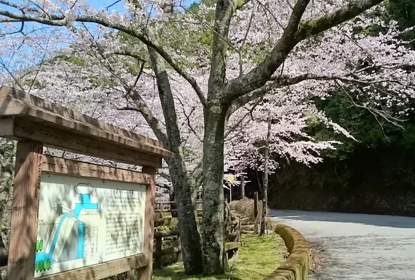 宮川ダム湖