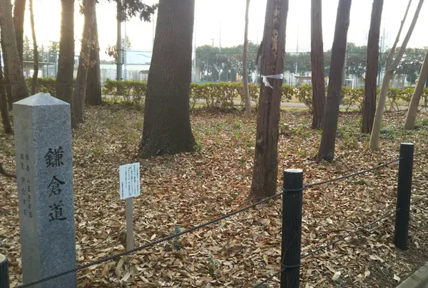 鎌倉道
