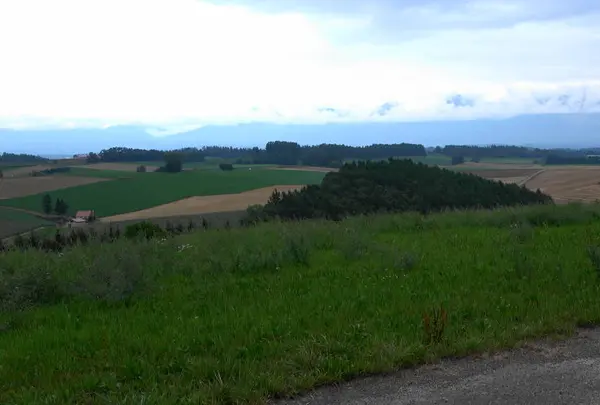 パッチワークの路