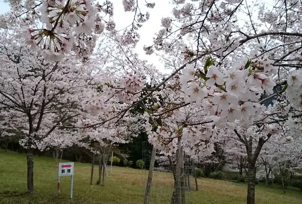 北畠史跡公園