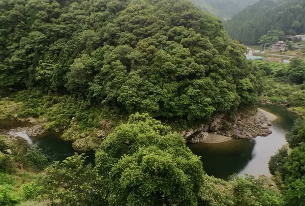 鳥の巣カフェ