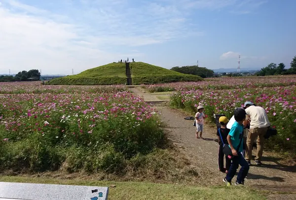 （天川）二子山古墳の写真・動画_image_316559