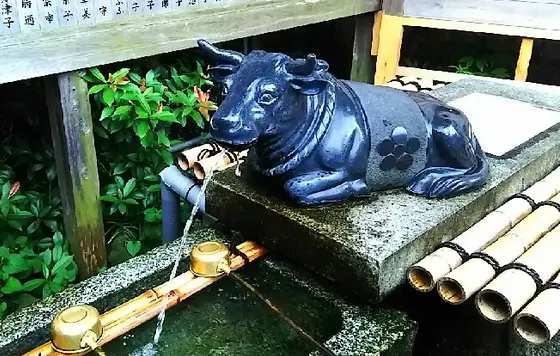 手水舎にはやはり牛さんが