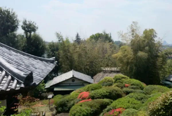 高台からの眺めは素晴らしい