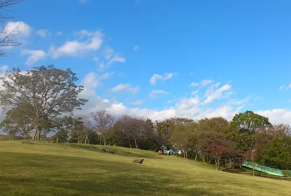 空間が広い！