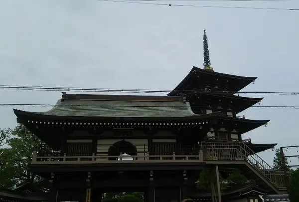 野添北公園 円満寺の写真・動画_image_187497