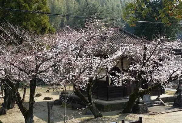正観寺付近