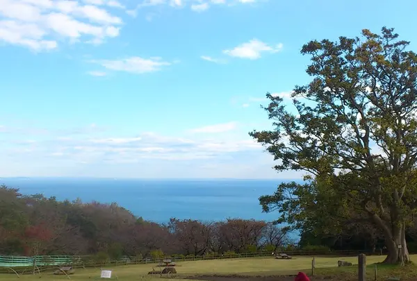 吾妻山公園