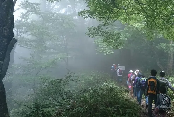 船上山屏風岩の写真・動画_image_34198