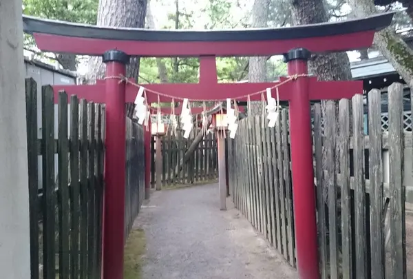 新潟総鎮守 白山神社の写真・動画_image_41093