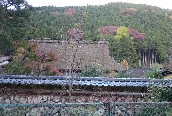 佐中の千年家の写真・動画_image_137478