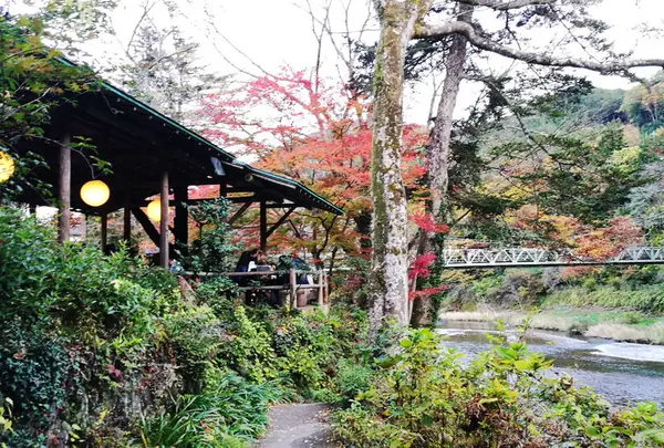澤乃井園　清流ガーデンの写真・動画_image_459529