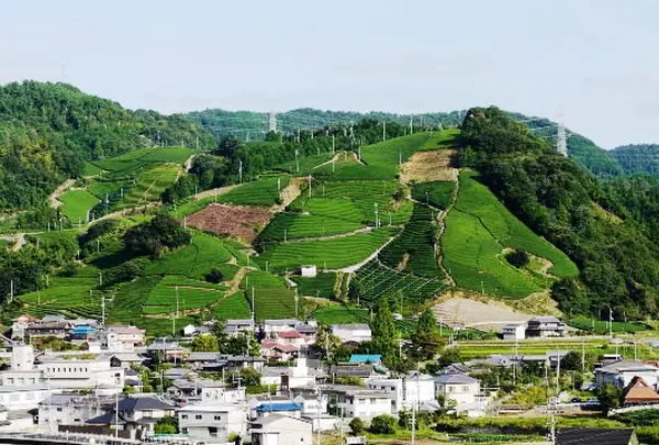 和束町役場の写真・動画_image_175683