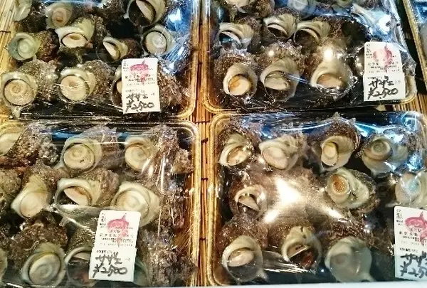 道の駅「紀伊長島マンボウ」