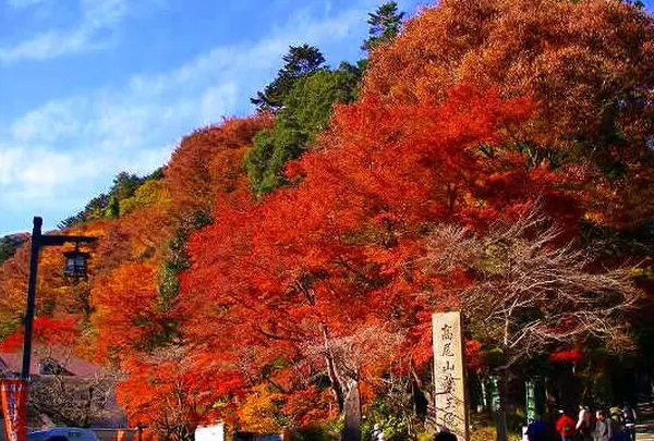 高尾山