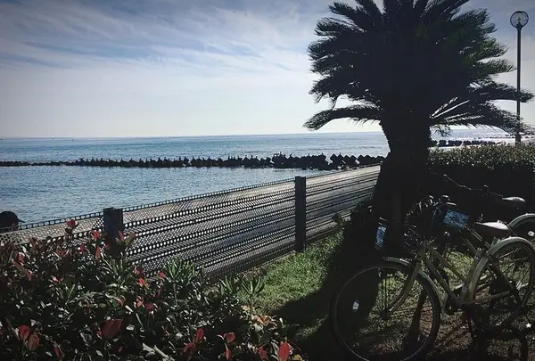 鎌倉海浜公園