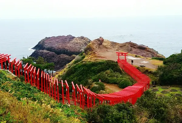 〒759-4712 山口県長門市油谷津黄４９８