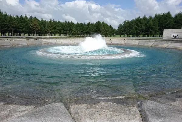 夏のおすすめ！