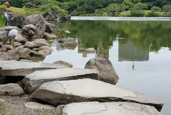 午前9時～午後5時 （入園は午後4時30分まで）