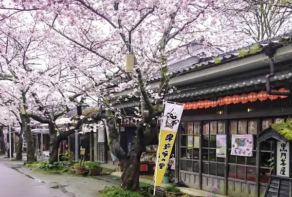 秋月観光のお立ち寄り定番はこちら！